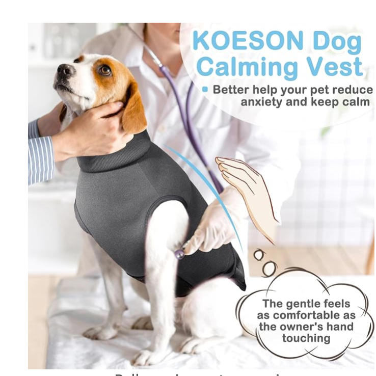 Dog Anxiety Vest